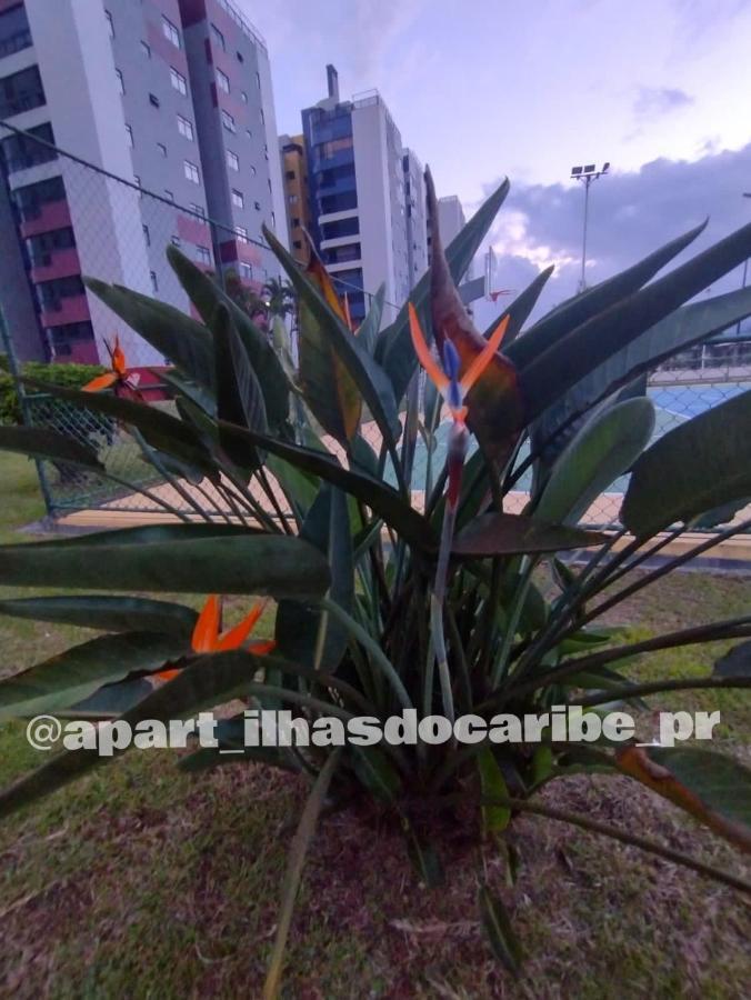 Apto Cond Ilhas Do Caribe - Pr - Beira Mar Matinhos Exterior photo