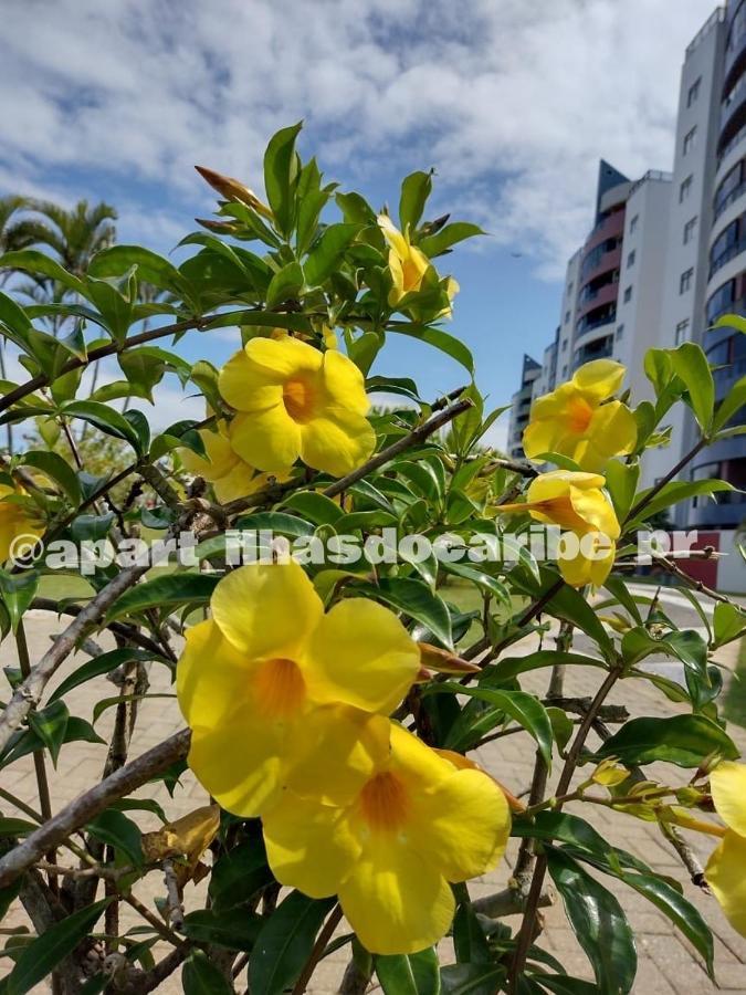 Apto Cond Ilhas Do Caribe - Pr - Beira Mar Matinhos Exterior photo